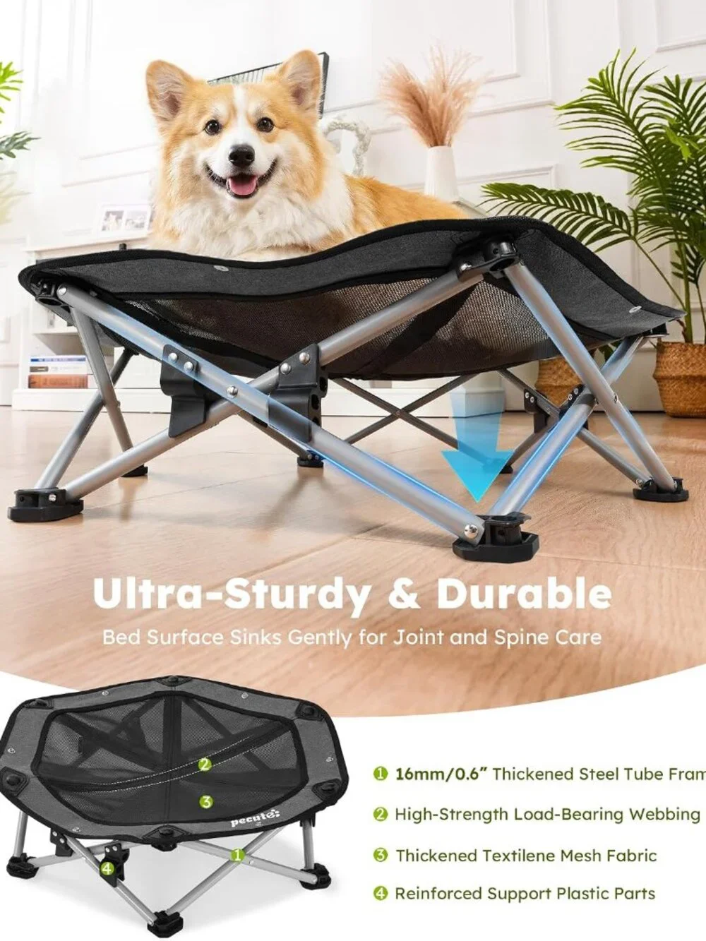 Raised Dog Bed with Cooling Mat